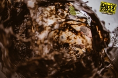 Dirty_Coast_Fun_Run_2019-629.jpg